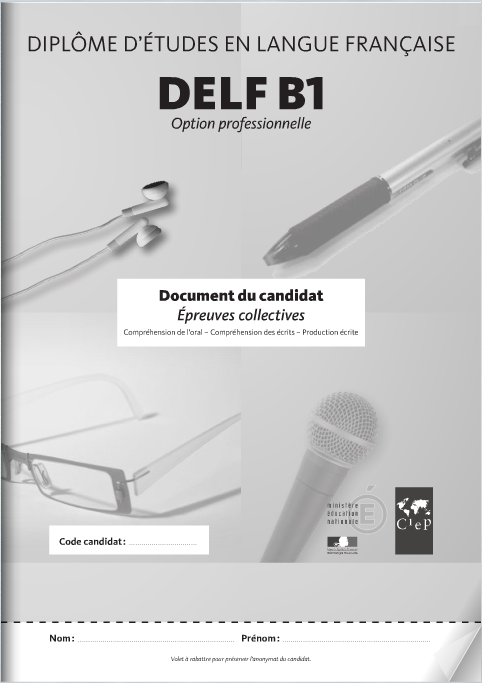 MANUEL DU CANDIDAT DELF B1 visual data 7